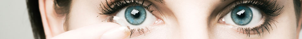Contact Lenses